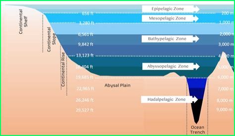 Exploring The Depths Of Art And Emotion
